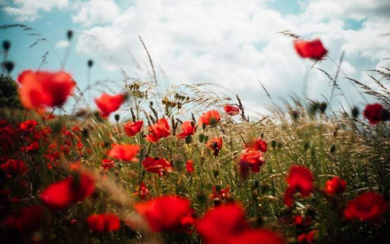 انقلاب ما انقلاب ارزشهاست