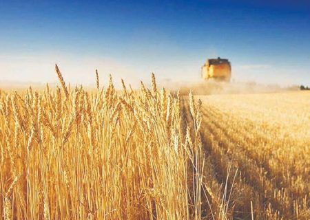 پرداخت ۱۴۷۵ میلیارد ریال تسهیلات به بخش کشاورزی