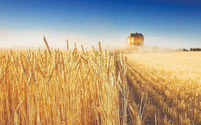 پرداخت ۱۴۷۵ میلیارد ریال تسهیلات به بخش کشاورزی