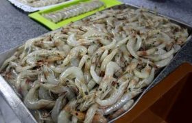 سیستان، خاستگاه فرصت‌های نوین اقتصادی