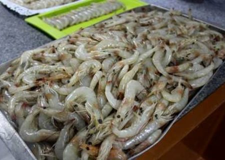 سیستان، خاستگاه فرصت‌های نوین اقتصادی