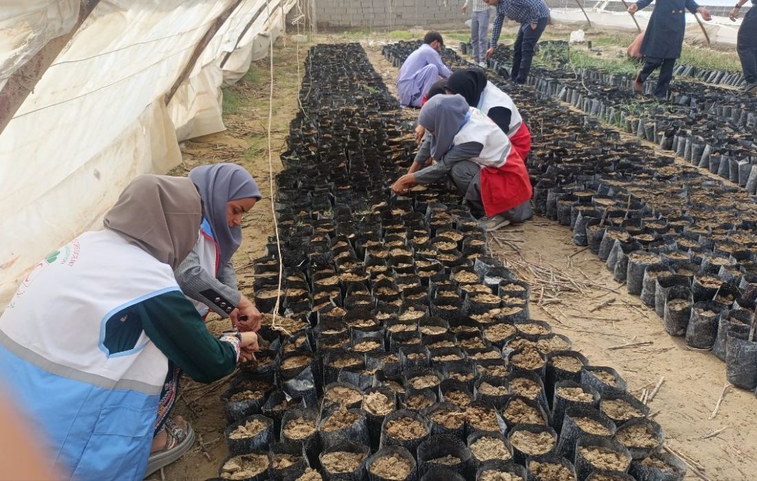 طبیعت پاک و ادای احترام به شهدا