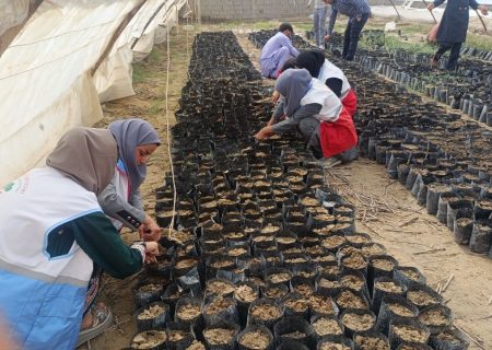 طبیعت پاک و ادای احترام به شهدا