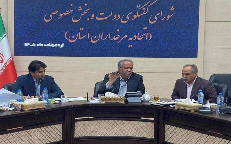 زنجیره تولید مرغ سیستانوبلوچستان در فاز بازسازی