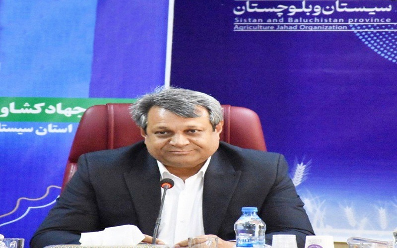 جذب ۹۶ درصدی اعتبار تعهدی «نوی‌پو» نهاده‌های دامی