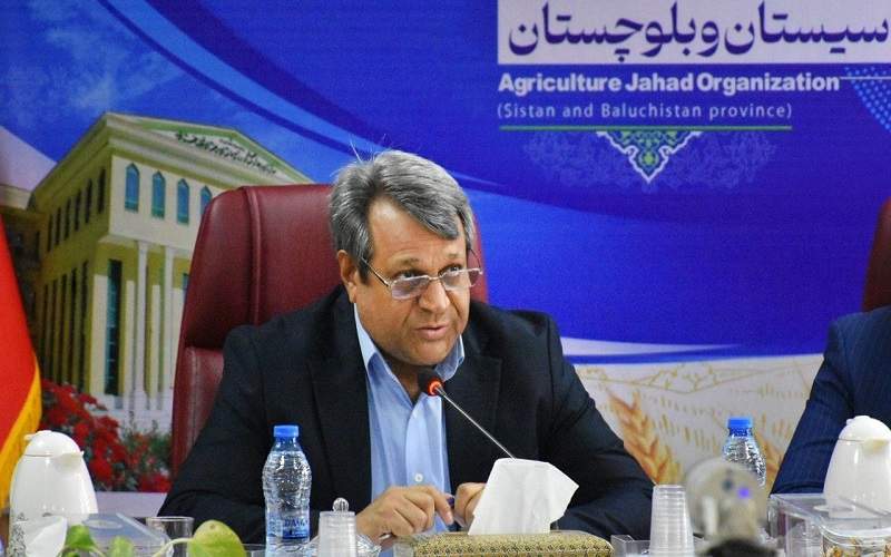 تأمین مطلوب کالاهای اساسی و گوشت قرمز سیستان‌وبلوچستان