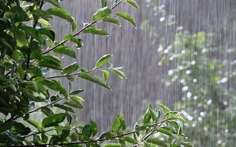 پیش‌بینی رگبار در شمال غرب و شمال شرق
