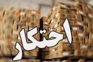 کشف محموله تن ماهیان احتکار شده در چابهار