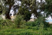 گره کور ۶۰ ساله اراضی شندول هیرمند باز شد