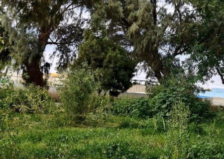 گره کور ۶۰ ساله اراضی شندول هیرمند باز شد