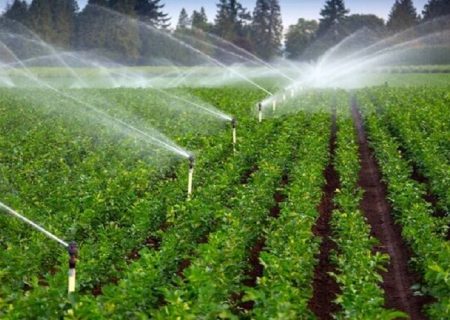 حمایت ۸۵ درصدی دولت به سامانه‌های نوین آبیاری