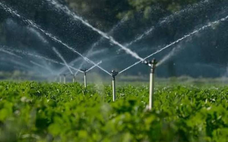 آبیاری نوین، موتور تحول کشاورزی ایرانشهر