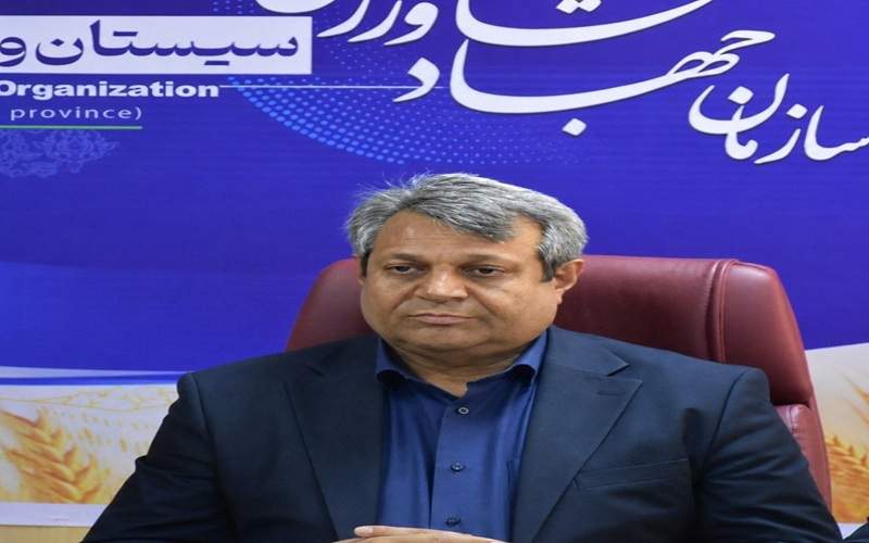 کشاورزی سیستان‌وبلوچستان؛ محور امنیت غذایی کشور