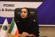 سوزندوزی بانوان، موتور محرک توسعه پایدار