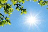 رگبار و وزش باد شدید در جنوب سیستانوبلوچستان