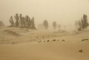 حقابه هامون، نسخه نجات سیستان از ریزگردها