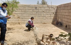 ۲۰ هزار طیور هیرمند علیه نیوکاسل واکسینه شدند