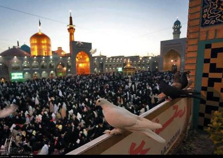 فرهنگ رضوی؛ روایت کرامت، ایثار و امید