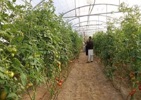 توزیع بیش از ۴ میلیون لیتر سوخت کشاورزی