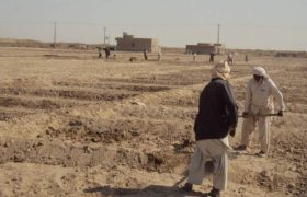 کوچ اجباری، میراث خشکسالی برای نیمروز