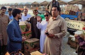 نظارت بر میدان میوه و تره‌بار سراوان تشدید می‌شود