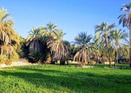 افتتاح مجموعه اقامتی در شهر محمدآباد
