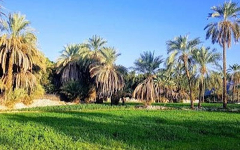 افتتاح مجموعه اقامتی در شهر محمدآباد