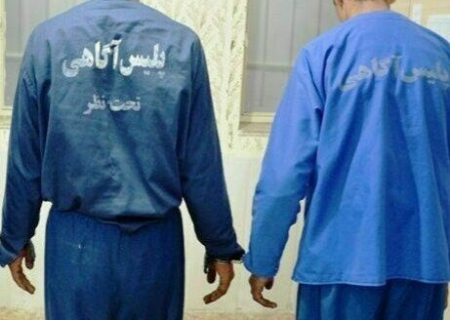 دستگیری سارقان سابقه دار در هیرمند