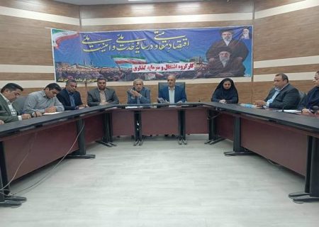 تحقق ۳۲۴ فرصت شغلی در هیرمند