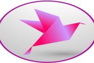 عقب‌نشینی حال‌وش و واگذاری میدان روایت به رسانه وابسته به منافقین